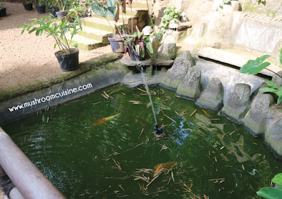 Kebon Awi Kaffee: Masakannya Nikmat Pemandangannya Sedap