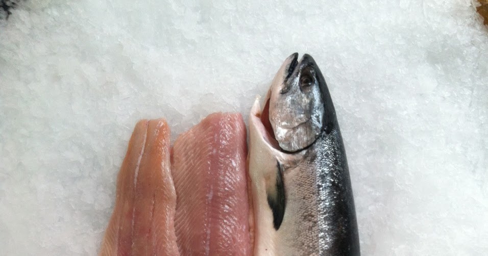 is white salmon ok to eat