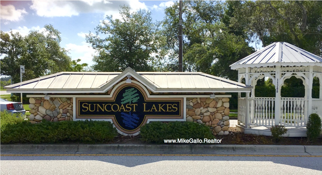 Realtor Mike Gallo's Blog Suncoast Lakes Community in Land O'Lakes Florida