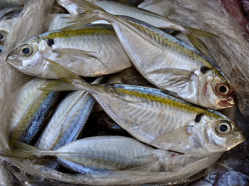 SuaraMuhajirin313: 10 Tips Membeli Ikan Segar Di Pasar