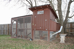 chicken coop winter suburban chickens preparing preventing simple freezing living simplesuburbanliving coops water clean warm