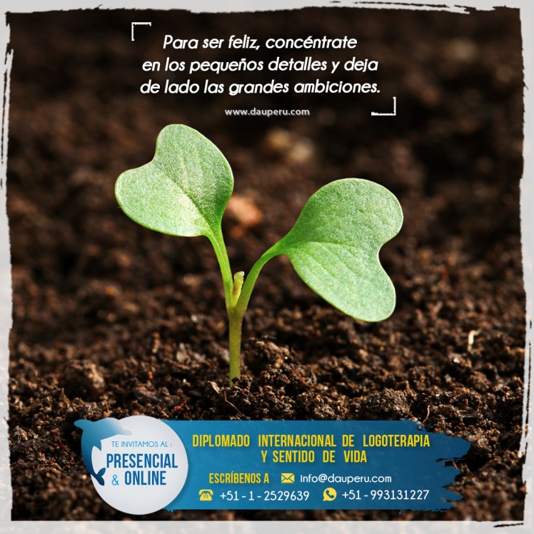 fidelia olavera email fidelia olavera email