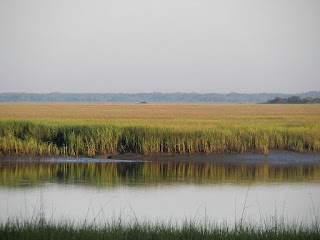Marsh scene in the South Carolina Low Country