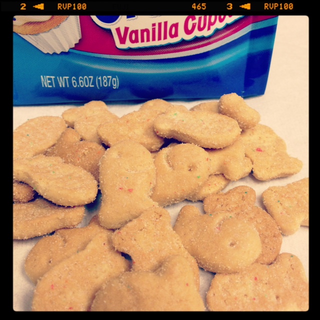 Never Turn Down A Cupcake Goldfish Grahams Vanilla Cupcake