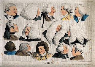 WHY PEOPLE EUROPE IN THE PAST USED WIG?
