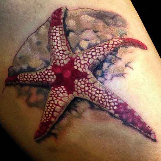 The Best Of Star Tattoo Designs