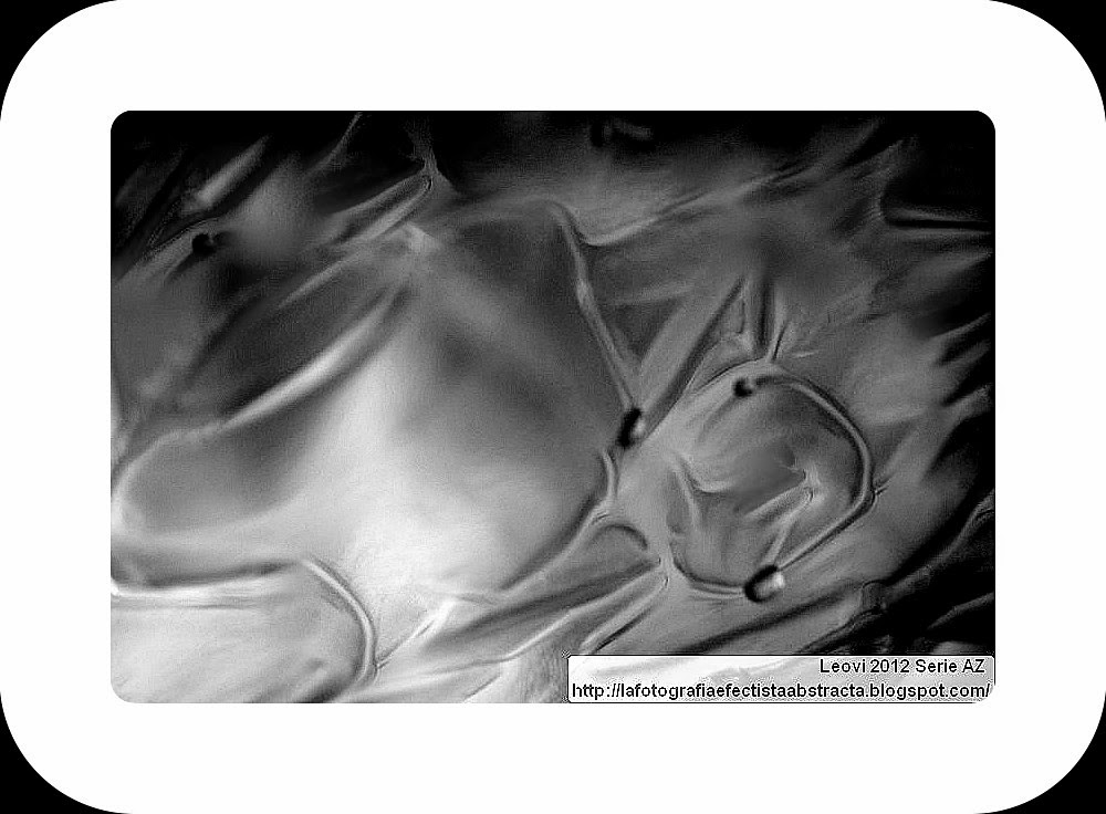 Foto Abstracta 3084 Embriaguez de luna y fuego - Drunkenness of moon and fire Foto Abstracta 3084 Embriaguez de luna y fuego - Drunkenness of moon and fire