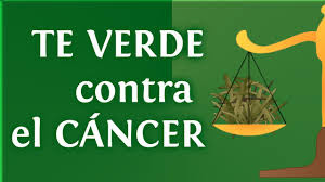 te verde contra el cancer