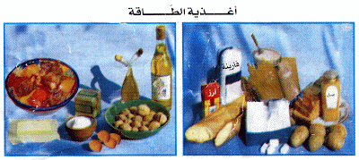بحث حول الأغذية بحث حول الأغذية