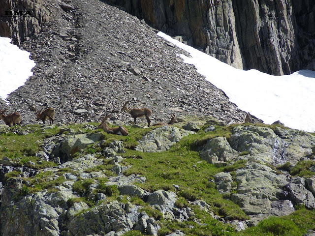 wandern verwall - outdoor-blog - wanderung im paznauntal - premiumwanderung