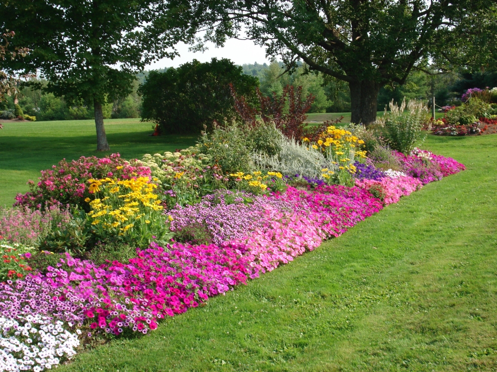 The Meditative Gardener Simplify Your Flowerbed