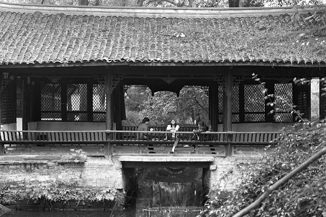 Chendgu, jardin botanique, © L. Gigout, 1990