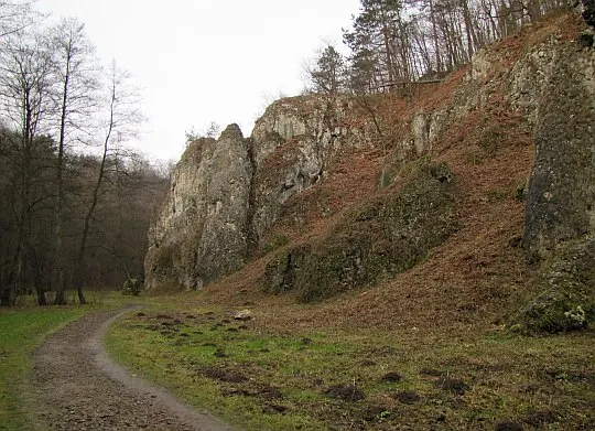 Dolina Mnikowska, skały po północno-wschodniej stronie doliny.