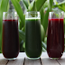 10 Bebidas que Puedes Consumir si Tienes Diabetes
