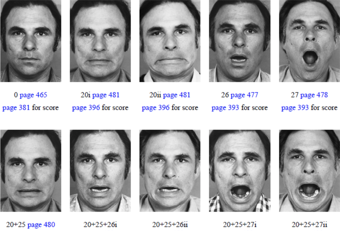 Программа мимика лица. Программа мимика лица. Мимика и жесты лица. Программа мимика лица. Девушка разные эмоции.