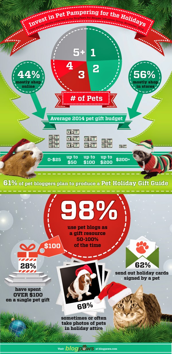 Exclusively Cats Veterinary Hospital Blog What Should I Get my Cat for