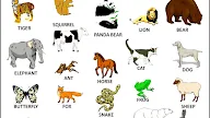 Zoo Animals Pictures With Names - Coloring Zoo Animals Names Clip Art Library - For use with a zoo animal or safari theme.