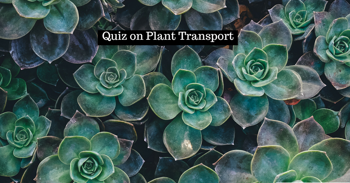 Quiz on Plant Transport Biology Multiple Choice Quizzes