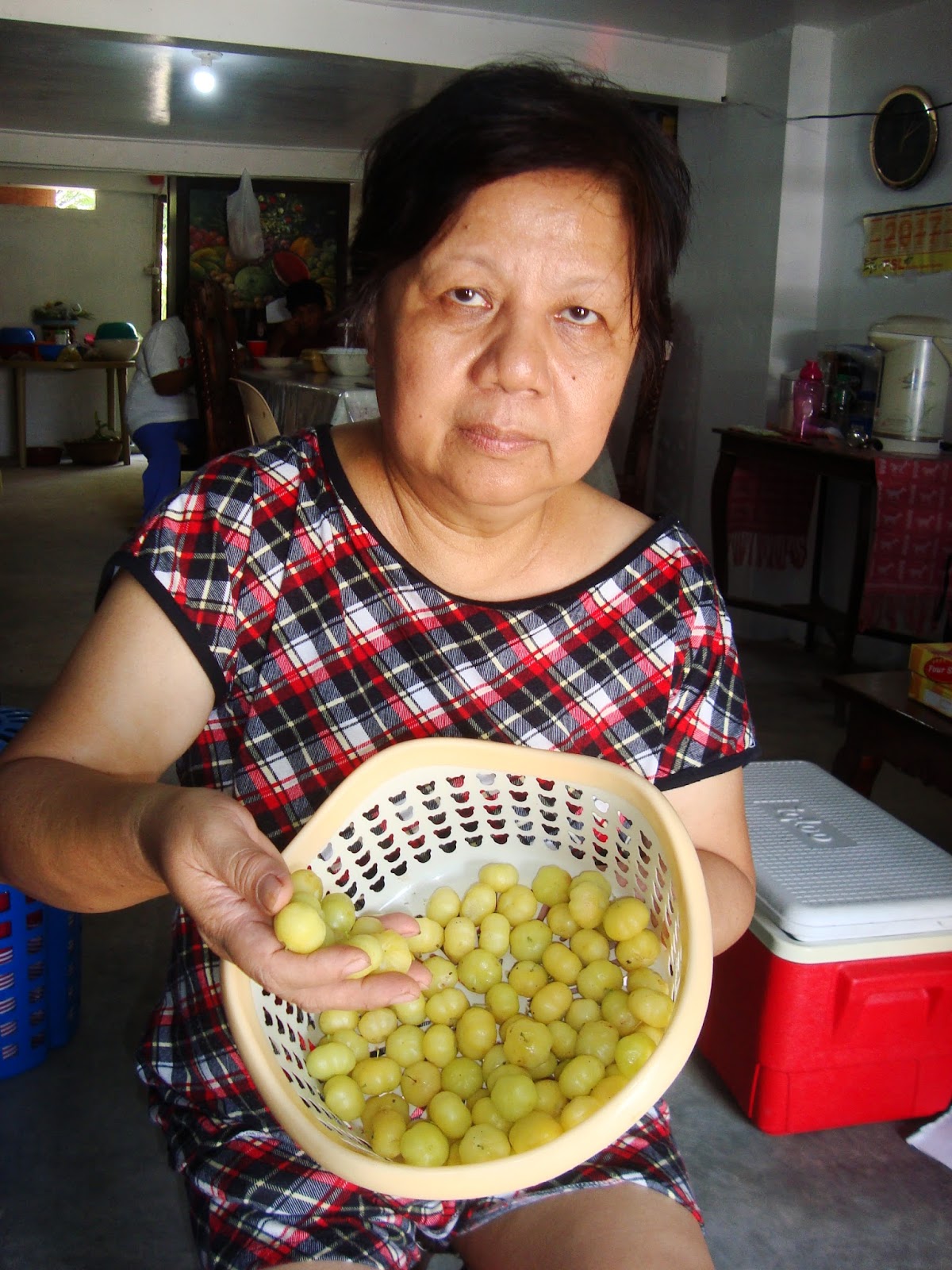 Living with Nature - School on Blog by Dr. Abercio V. Rotor: Karamay