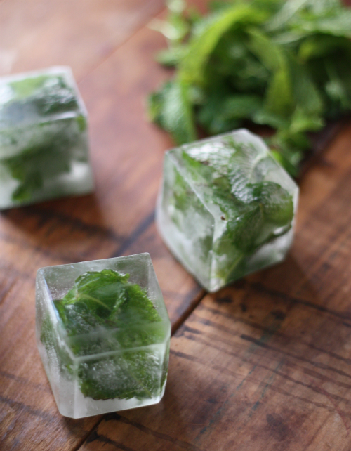 How To Mint Infused Ice Cubes 17 Apart