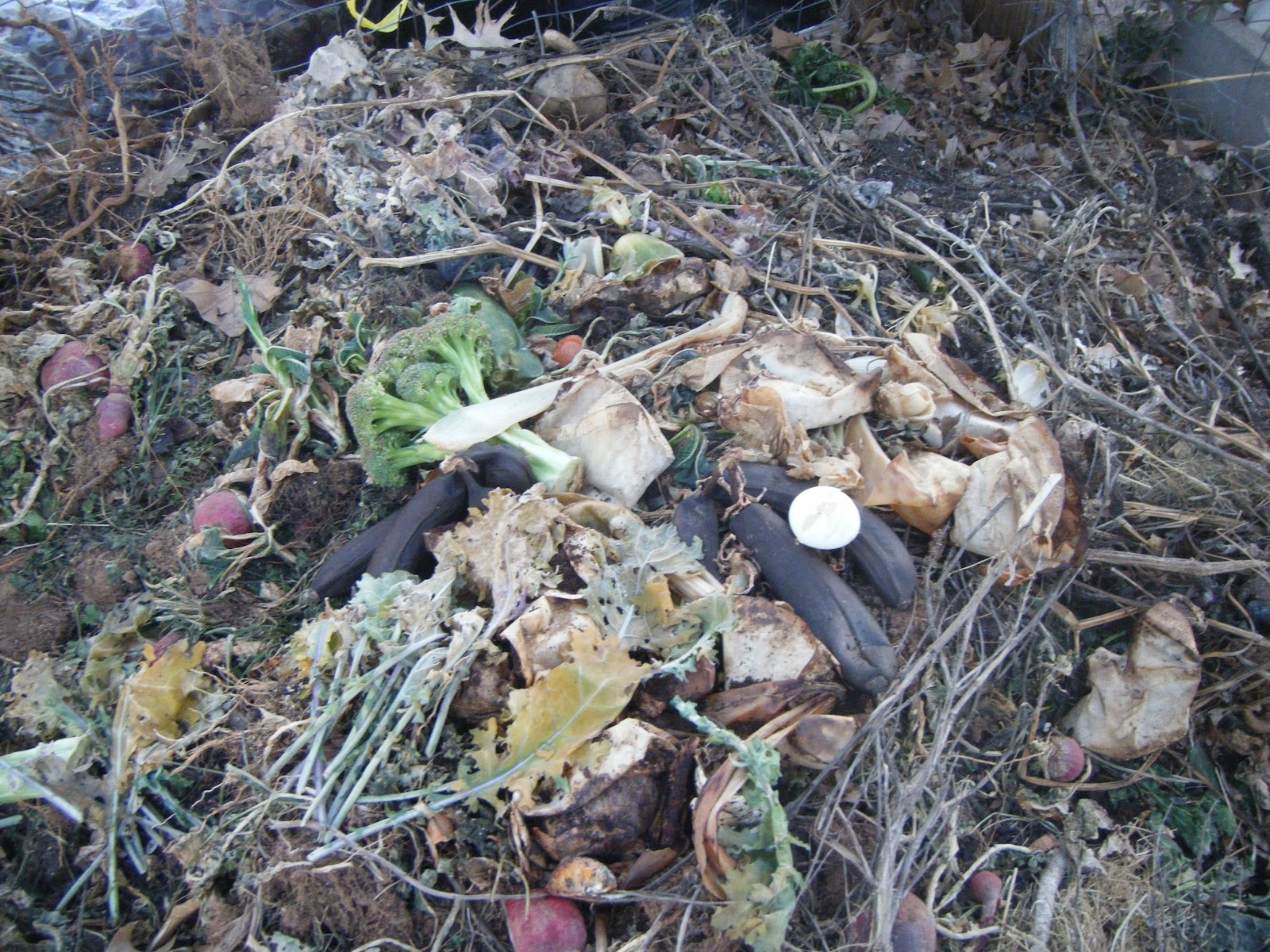 Windy Acres Diary: Compost Ingredients