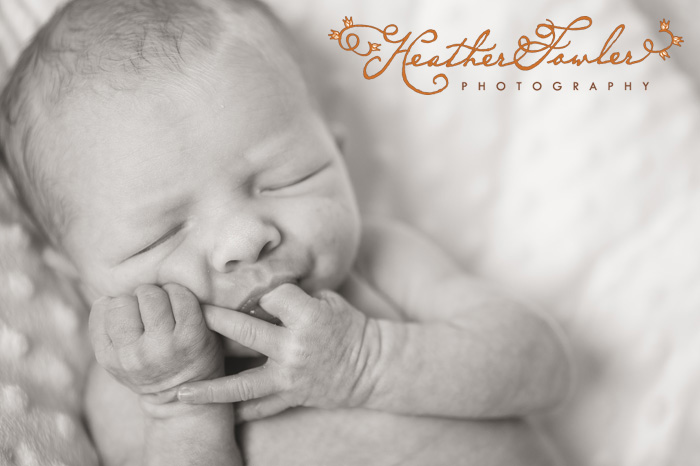 Philadelphia newborn photographer