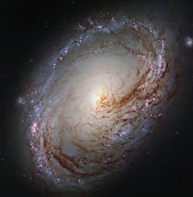 المجرات النجمية (Staburst galaxy)