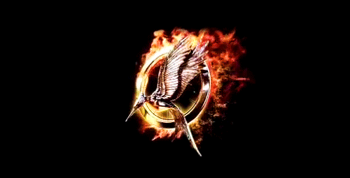 The Hunger Games: Catching Fire Logo