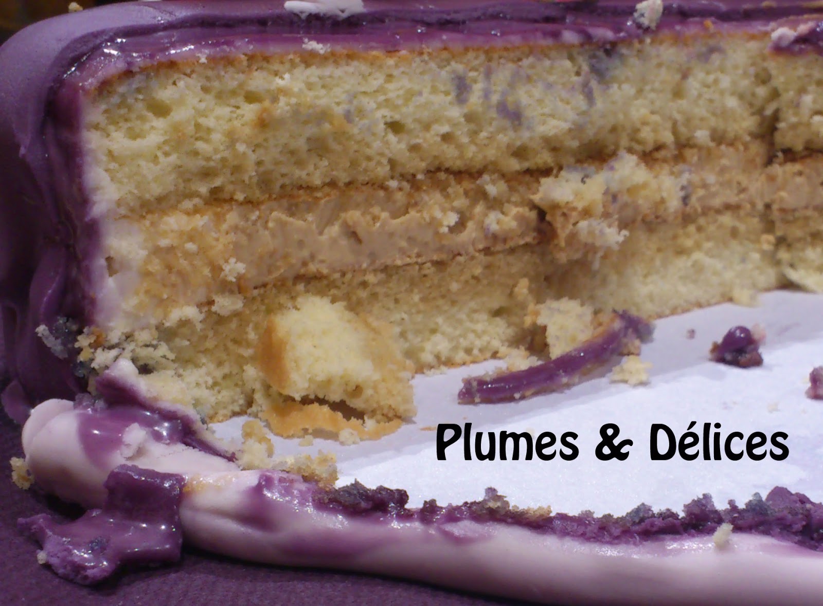 Plumes & Délices gâteau /wedding cake violet
