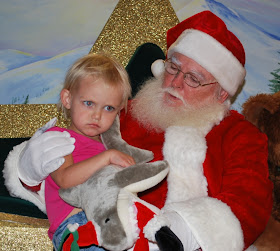Blog for Professional Santa Clauses: Stress free visits with Santa Claus