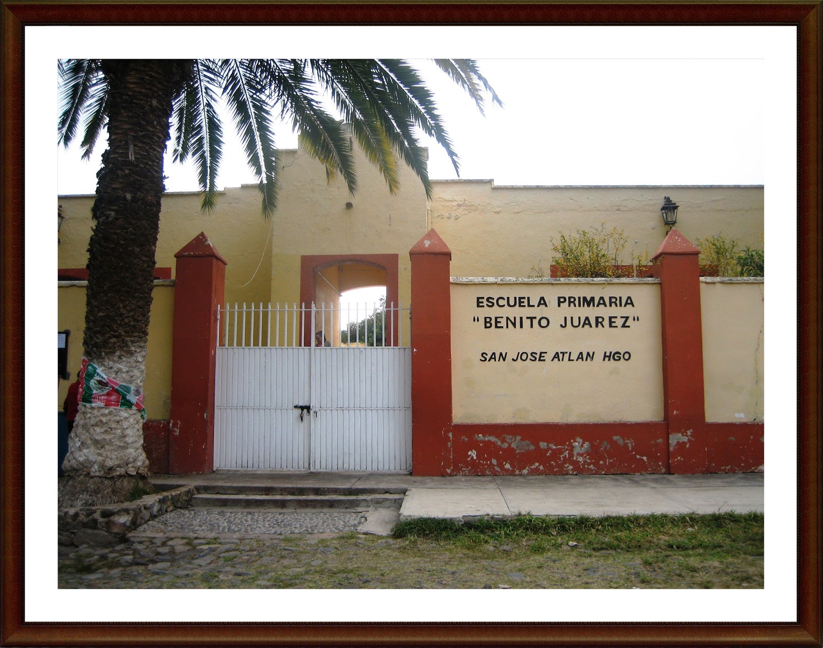 Escuela Primaria 