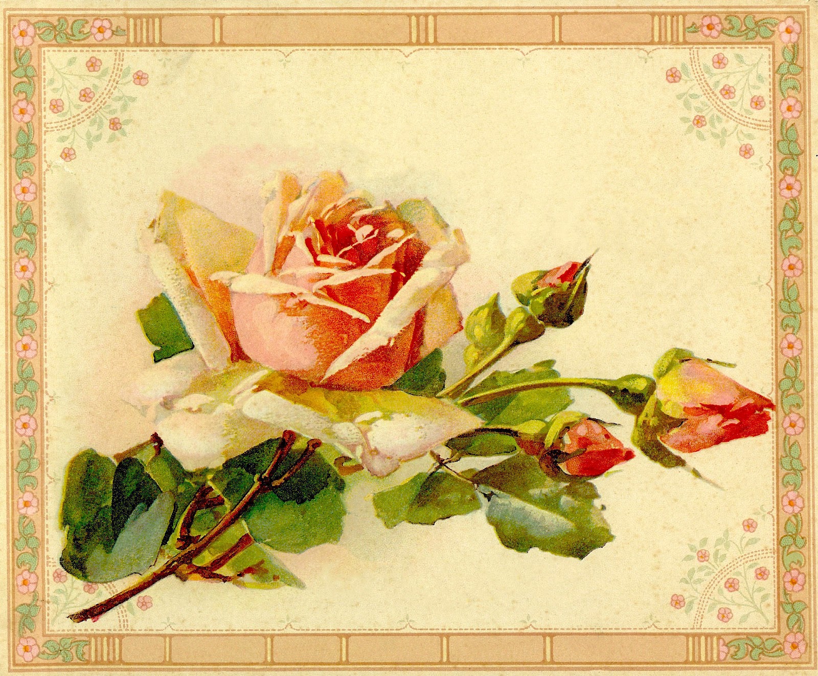 clipart vintage roses - photo #23