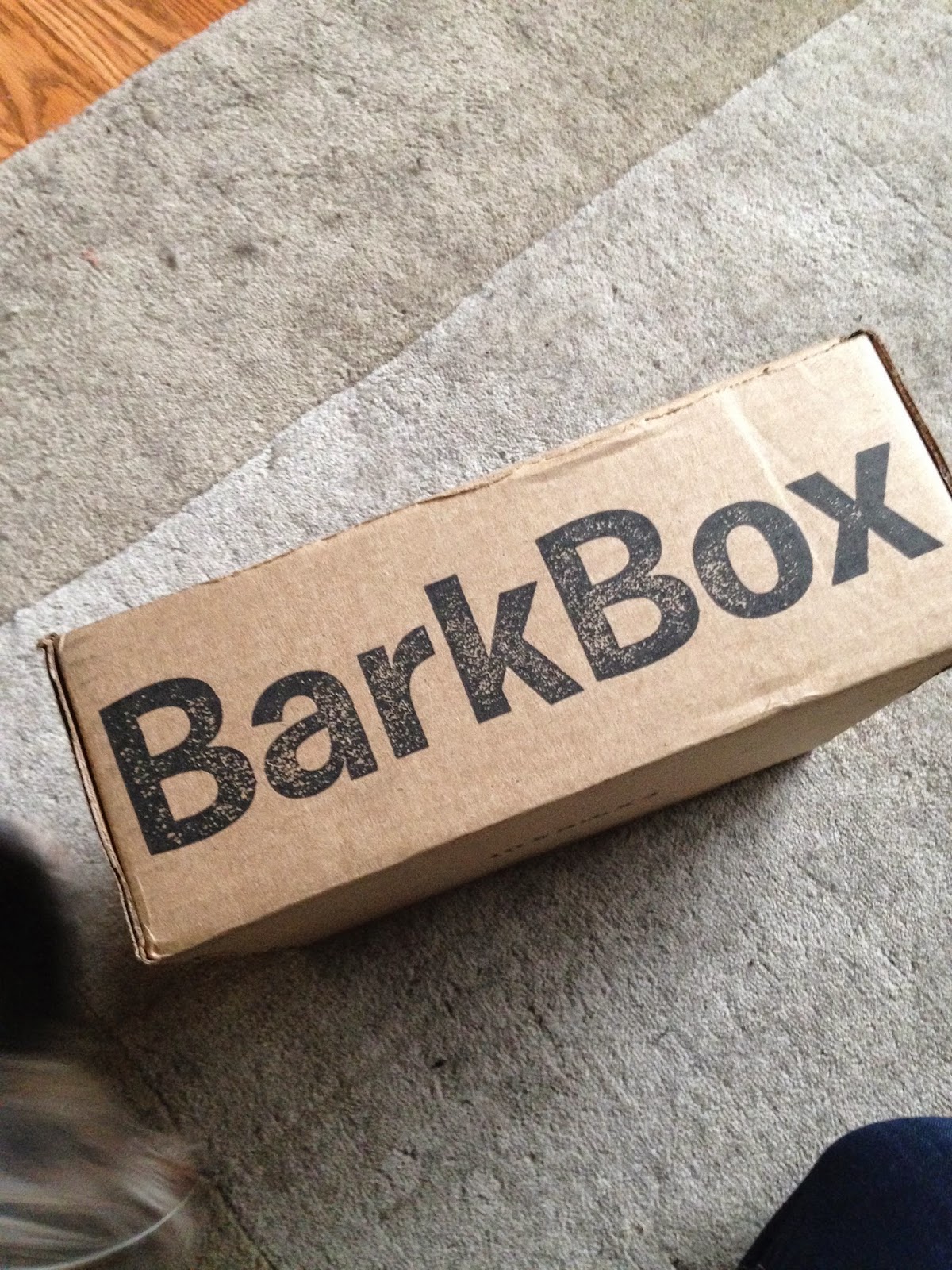 World According to Aly January Bark Box Review