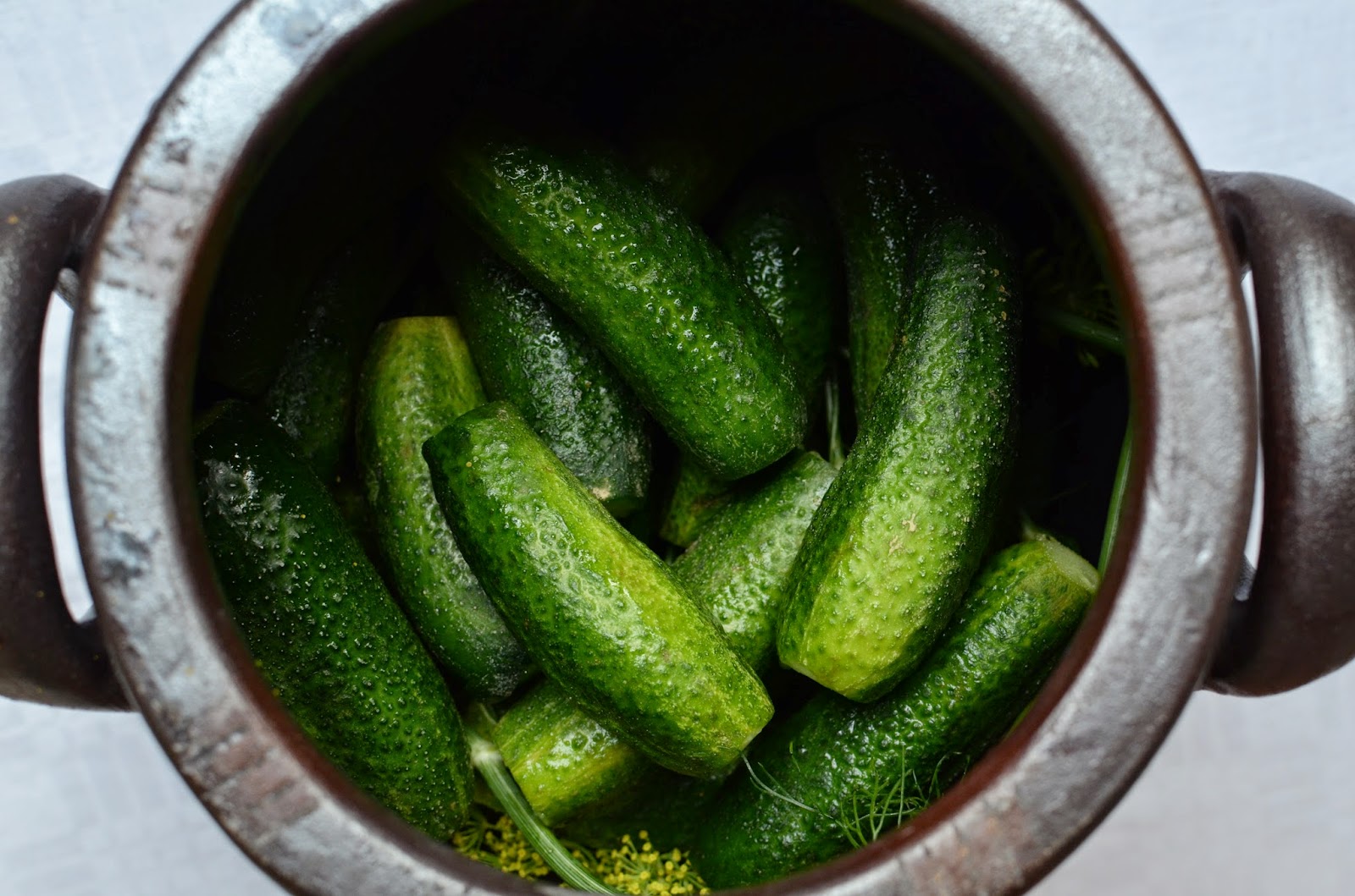 Farbror Grön Syra gurka vårt bästa recept!