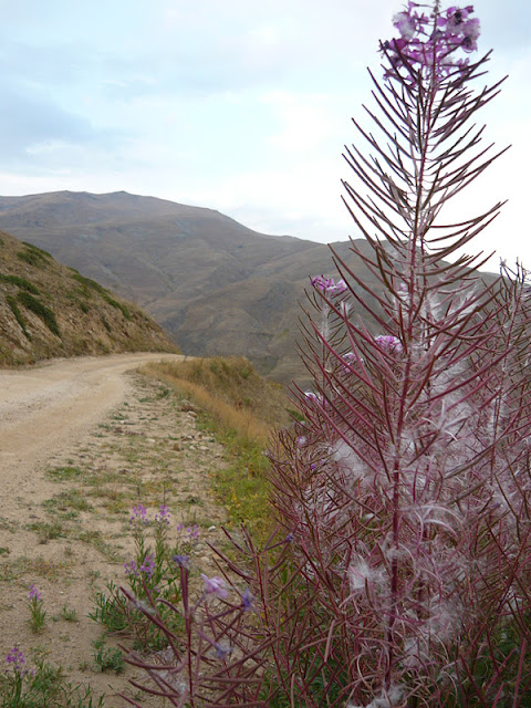 EN BÜYÜK KEŞFİN KENDİN OLSUN: KARADENİZ TURU 2011