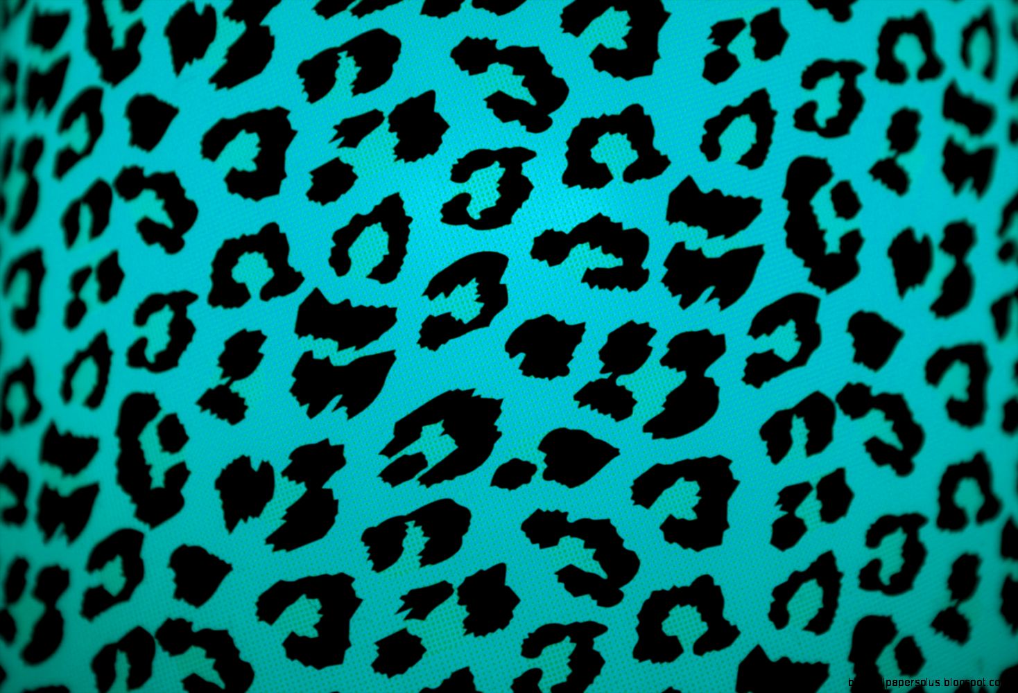 leopard print wallpaper