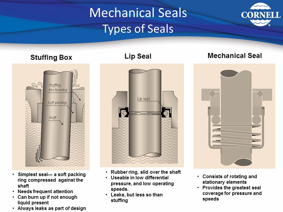 PUMPLINE Packing vs Mechanical Seal