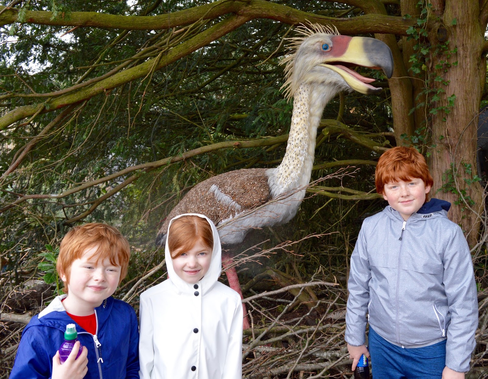 feed animals safari park near me feed animals safari park near me