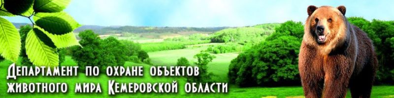 Департамент по охране объектов животного мира Кемеровской области