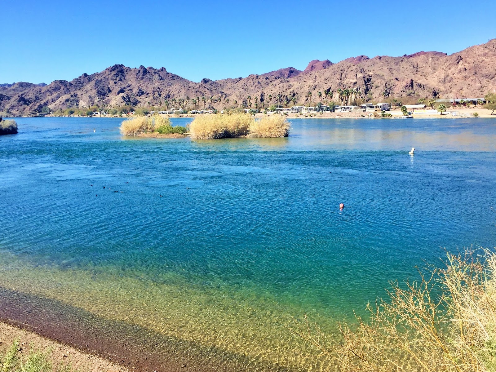 Down the Road Time on the Colorado River Parker, AZ