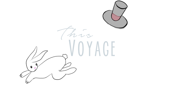 This voyage