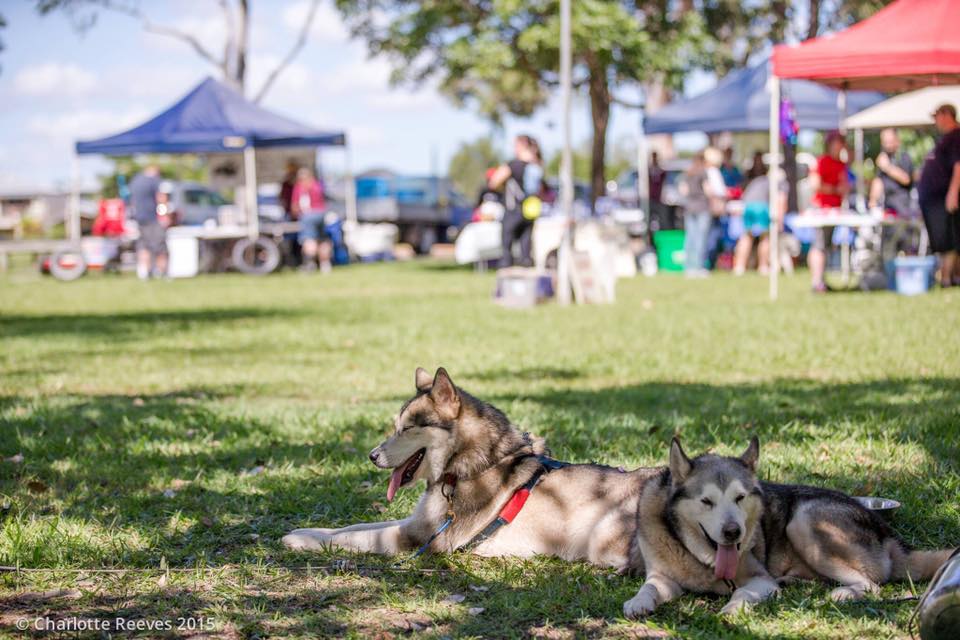 Dating Picnic Point Wa