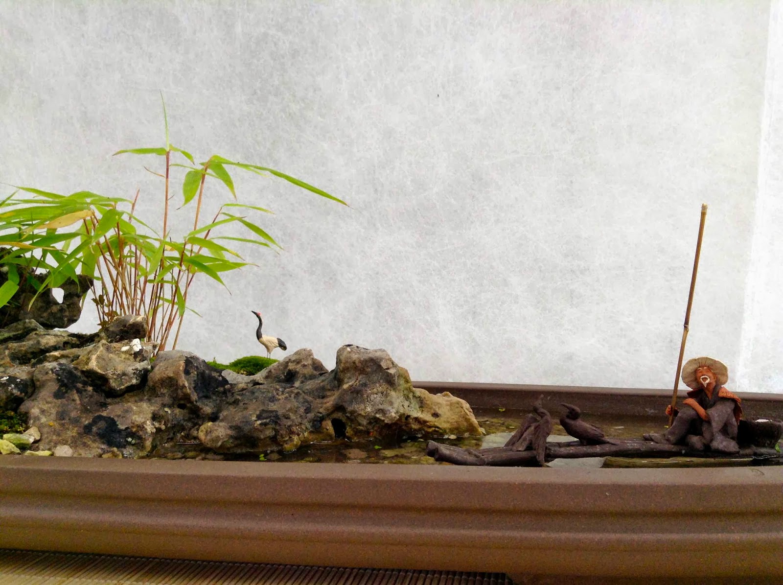 Différemment Bonsai Expo Albi