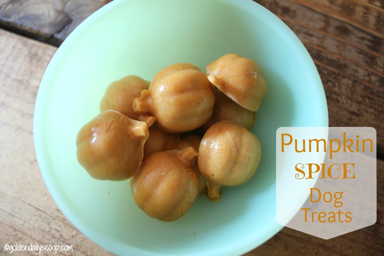 Pumpkin Spice Dog Treats