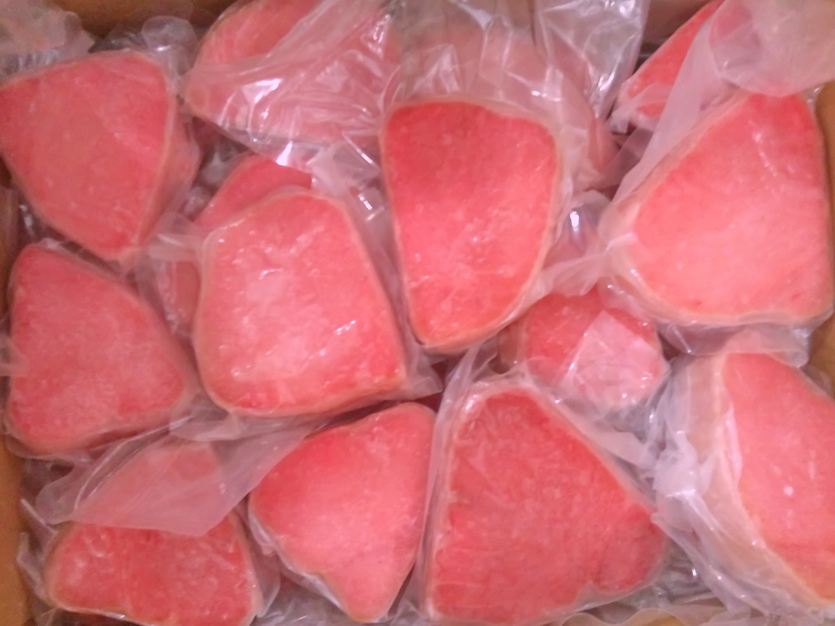 Company Profile Frozen Tuna Fish, Frozen Tuna Loin, Frozen Tuna