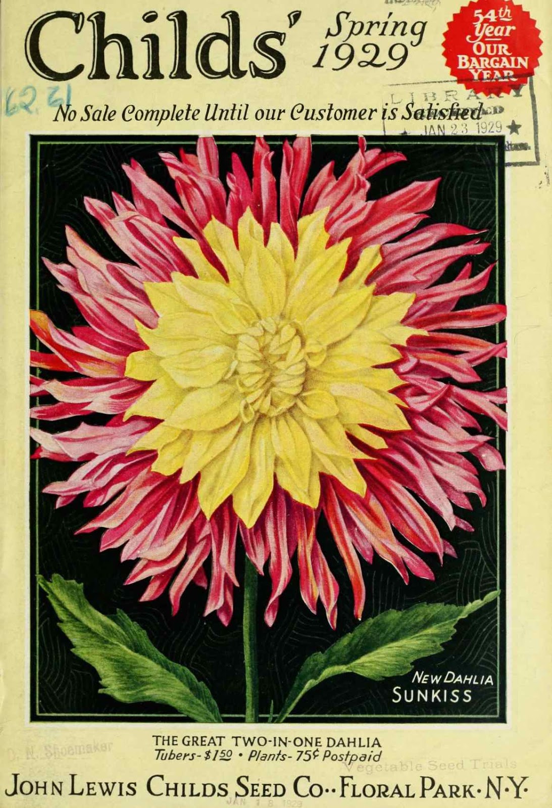 Tenth Letter of the Alphabet Lettering John Lewis Childs’ Catalogs