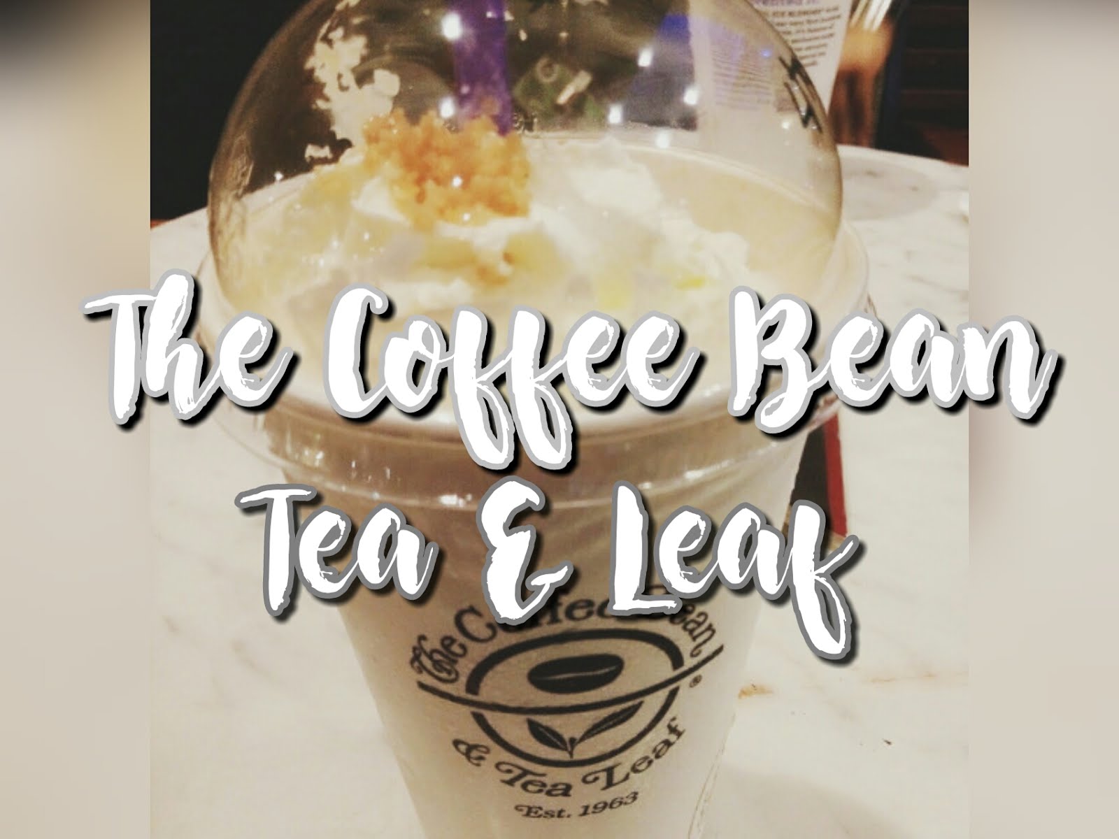 View Coffee Bean Katipunan PNG