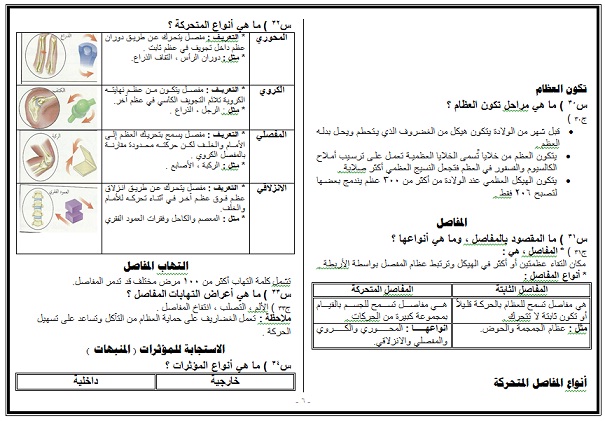 حل كتاب العلوم ثاني متوسط الفصل الدراسي الثاني