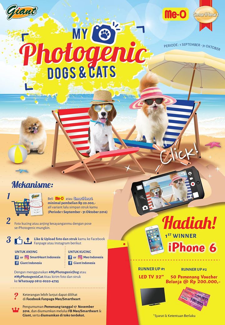 My Photogenic Dogs & Cats My Photogenic Dogs & Cats