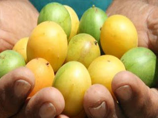 Umbu-Fruit-Pictures.jpg